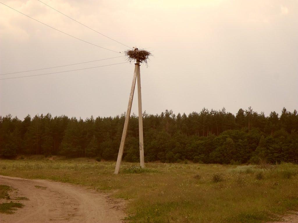 Луканівка з panoramio.com - Луканівка
