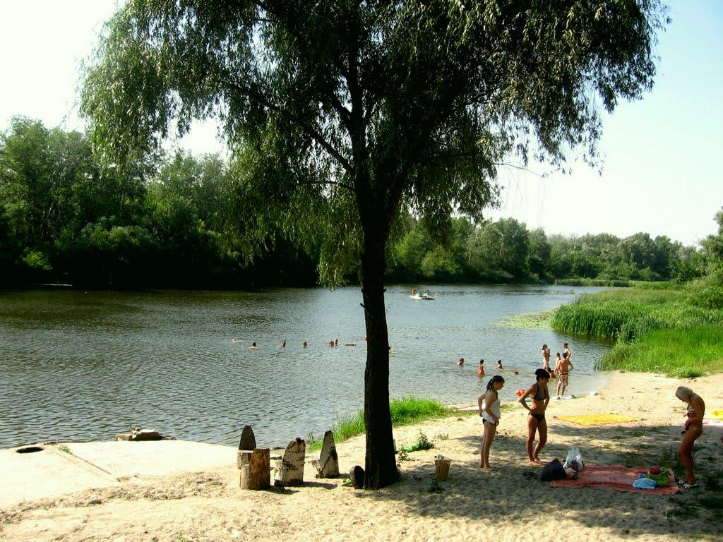 Кияшки з panoramio.com - Кияшки