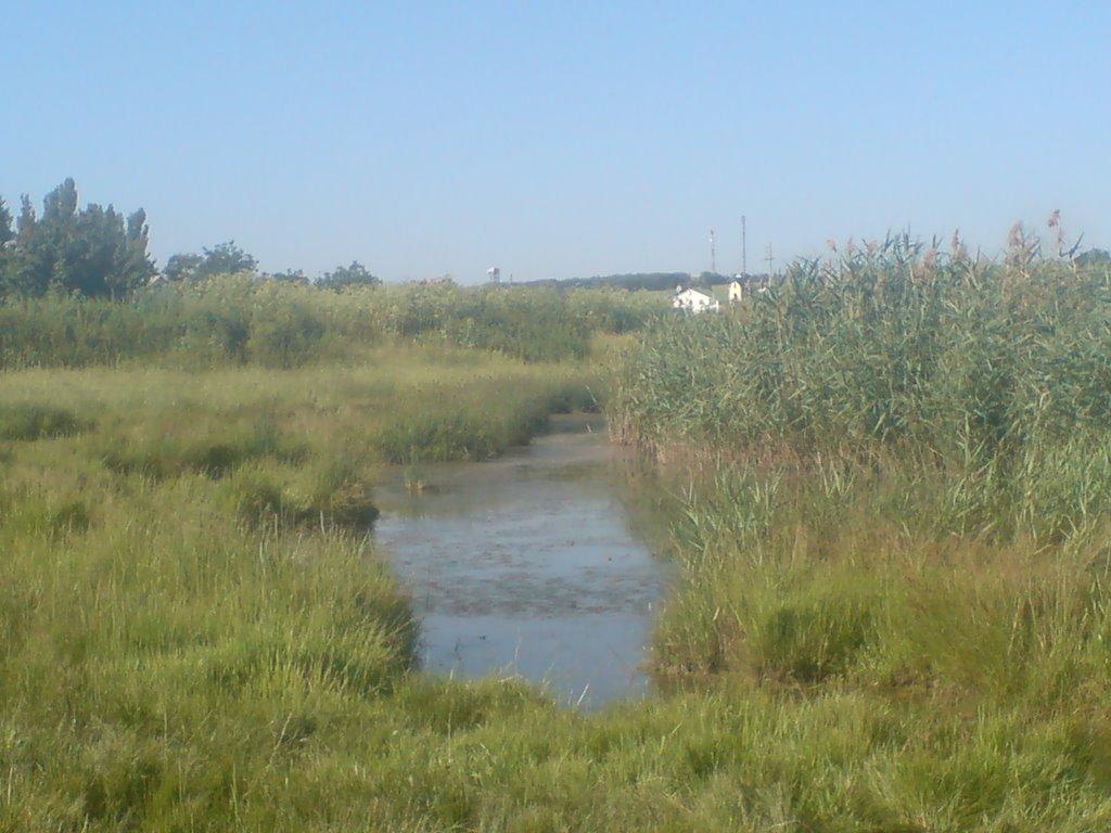 Урзуф з panoramio.com - Урзуф