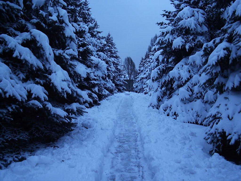 Родакове з panoramio.com - Родакове