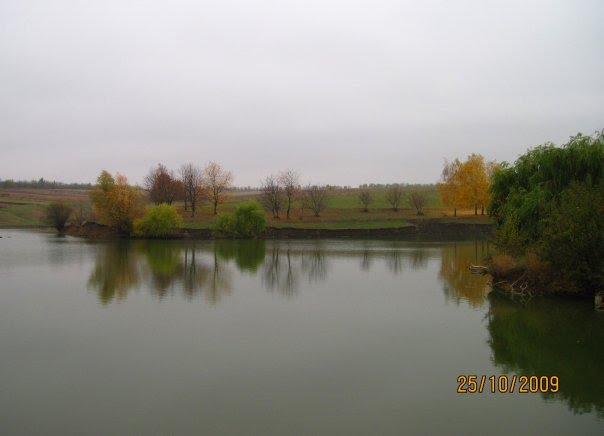 Олексіївка з panoramio.com - Алексеевка