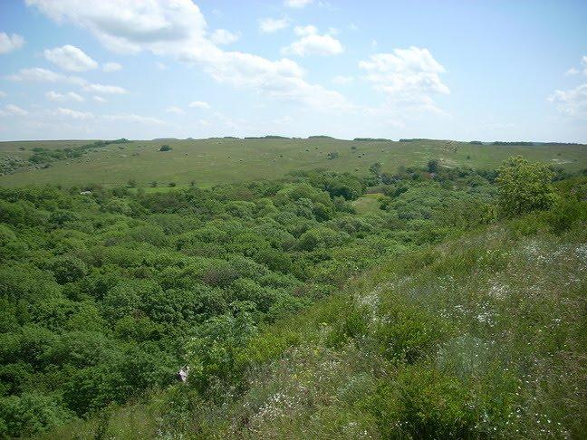 Ульянівка з panoramio.com - Ульянівка