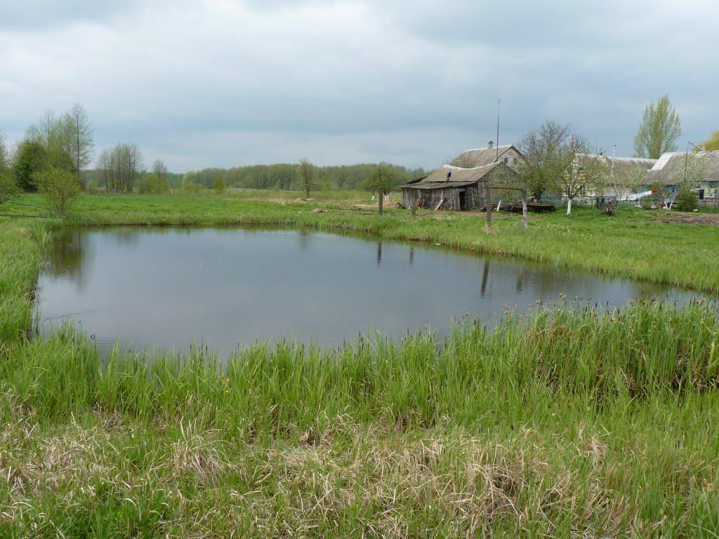 Мартинівка з panoramio.com - Мартинівка