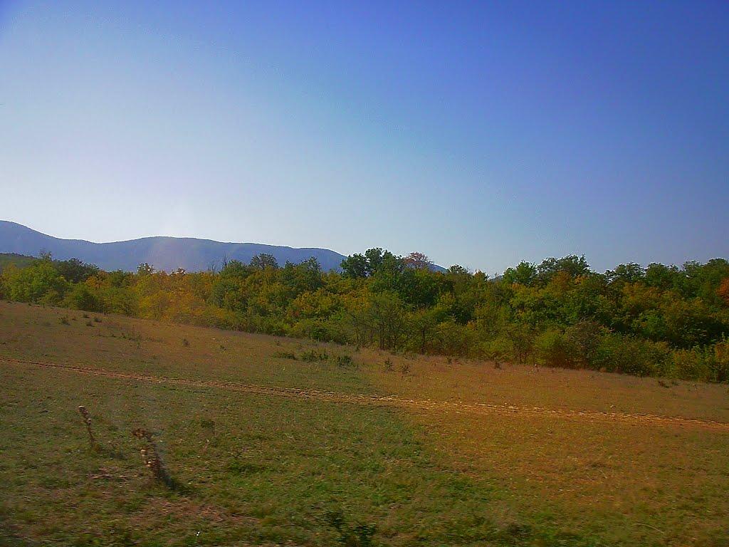 Плотинне з panoramio.com - Плотинное
