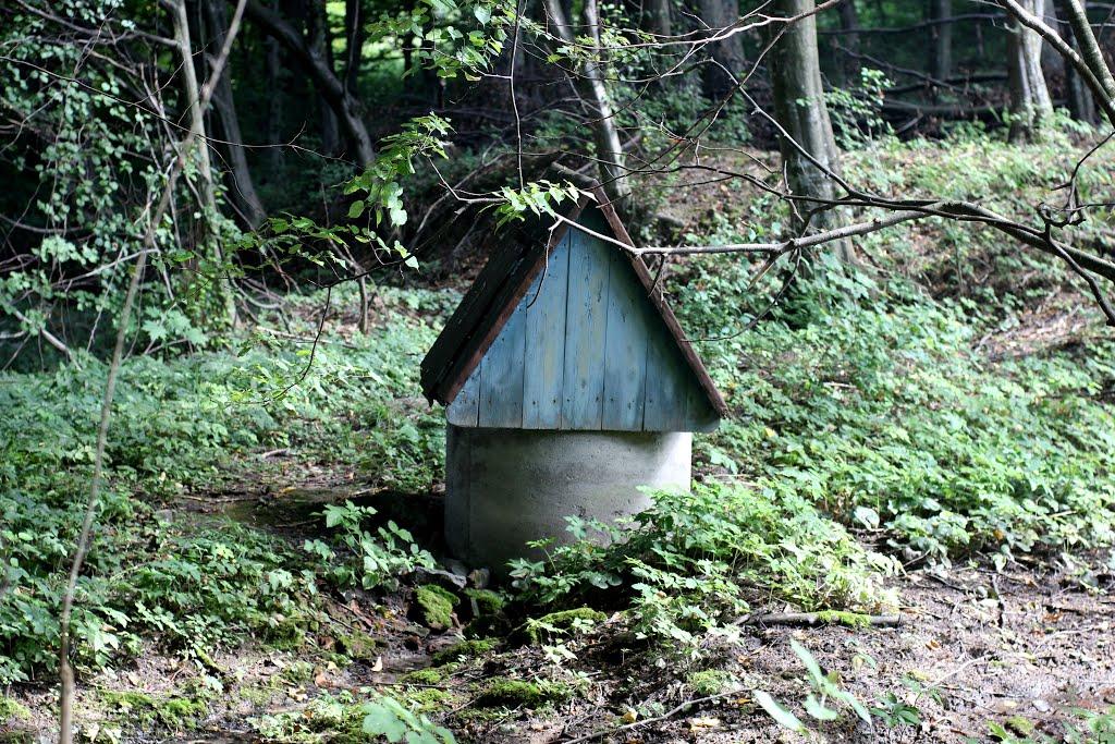 Бахматівці з panoramio.com - Бахматівці