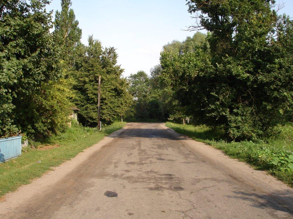 Безсалівка з panoramio.com - Безсалівка