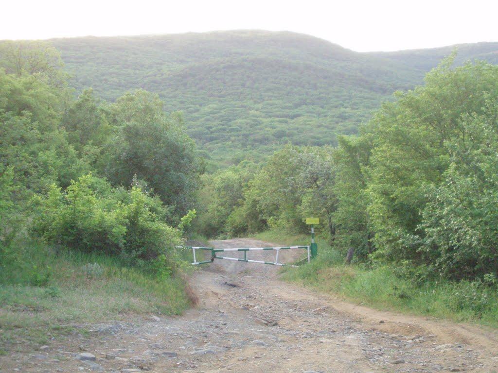 Партизанське з panoramio.com - Партизанське