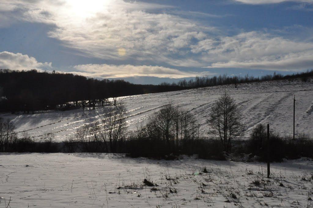 Поляна з panoramio.com - Поляна