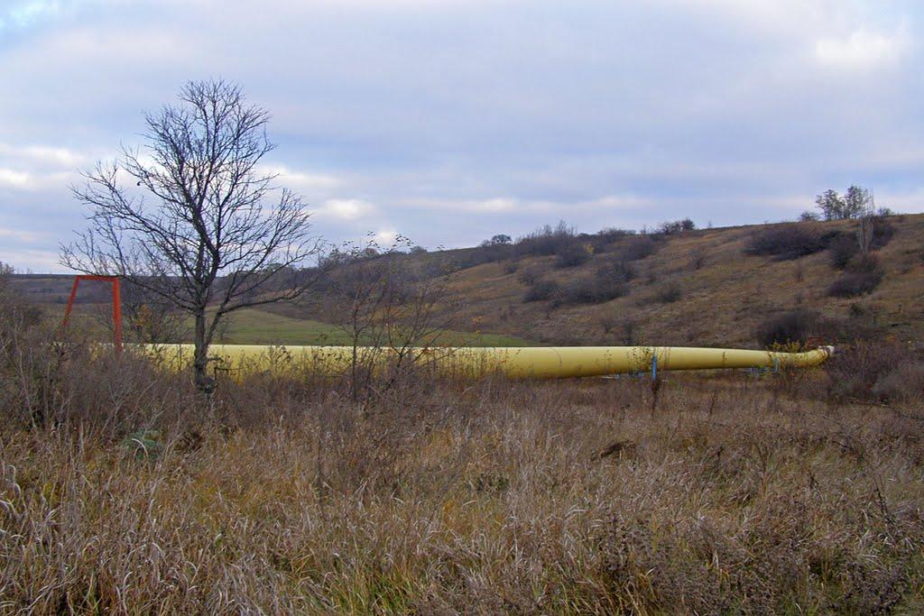 Закотне з panoramio.com - Закотне