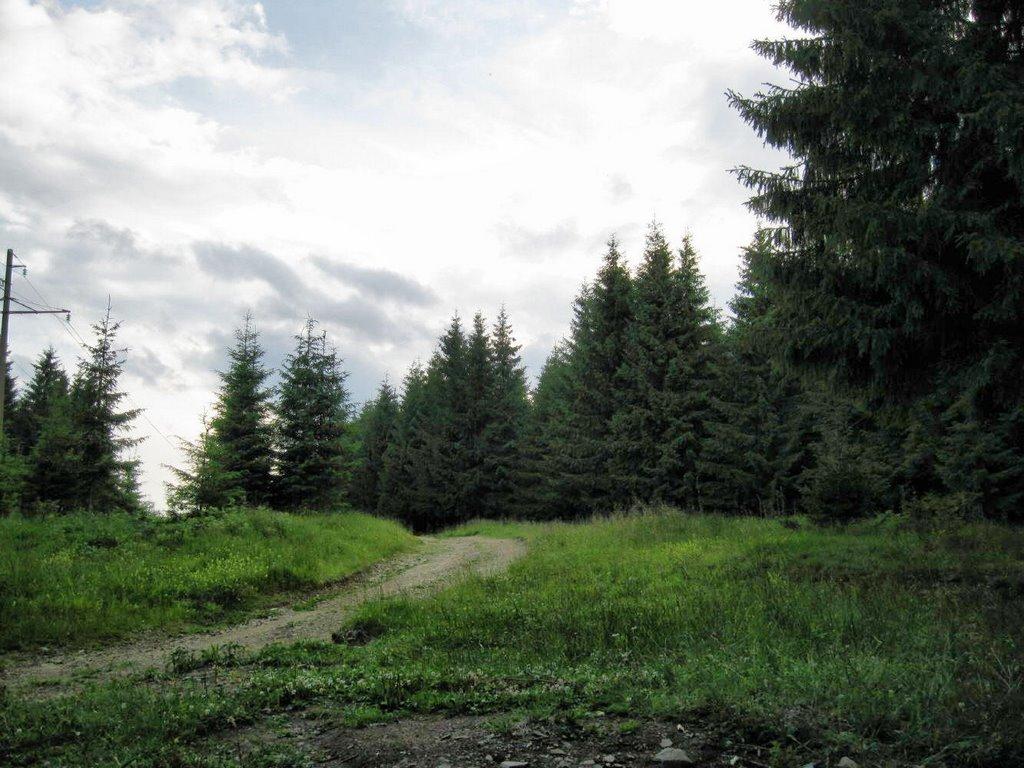 Руська з panoramio.com - Русская