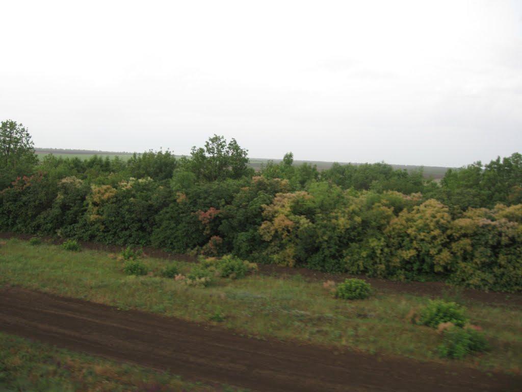 Коробки з panoramio.com - Коробки