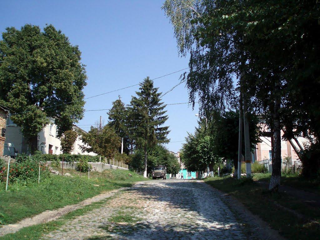 Требухівці з panoramio.com - Требуховцы