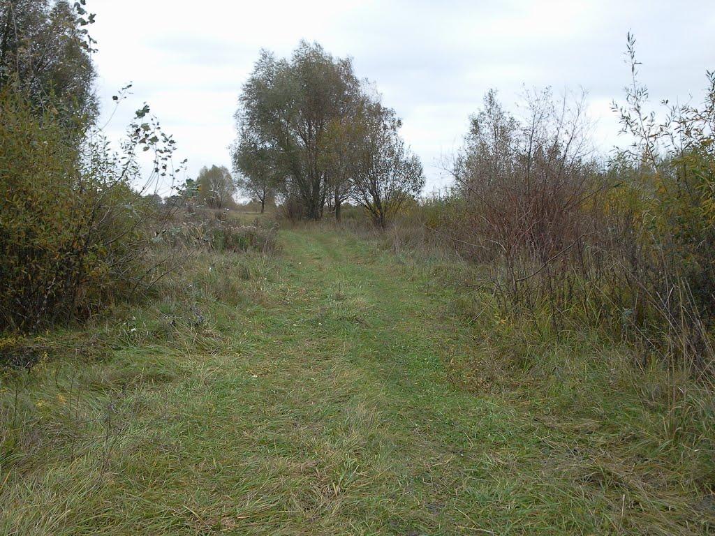 Лихачів з panoramio.com - Лихачів