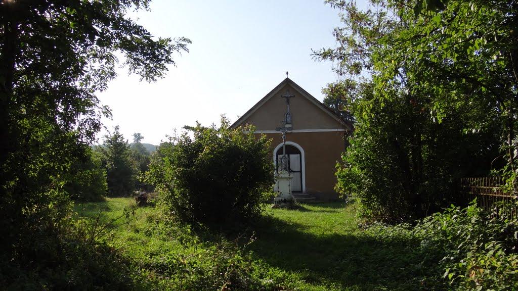 Великий Бичків з panoramio.com - Великий Бычков
