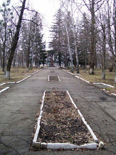 Соколове з panoramio.com - Соколово