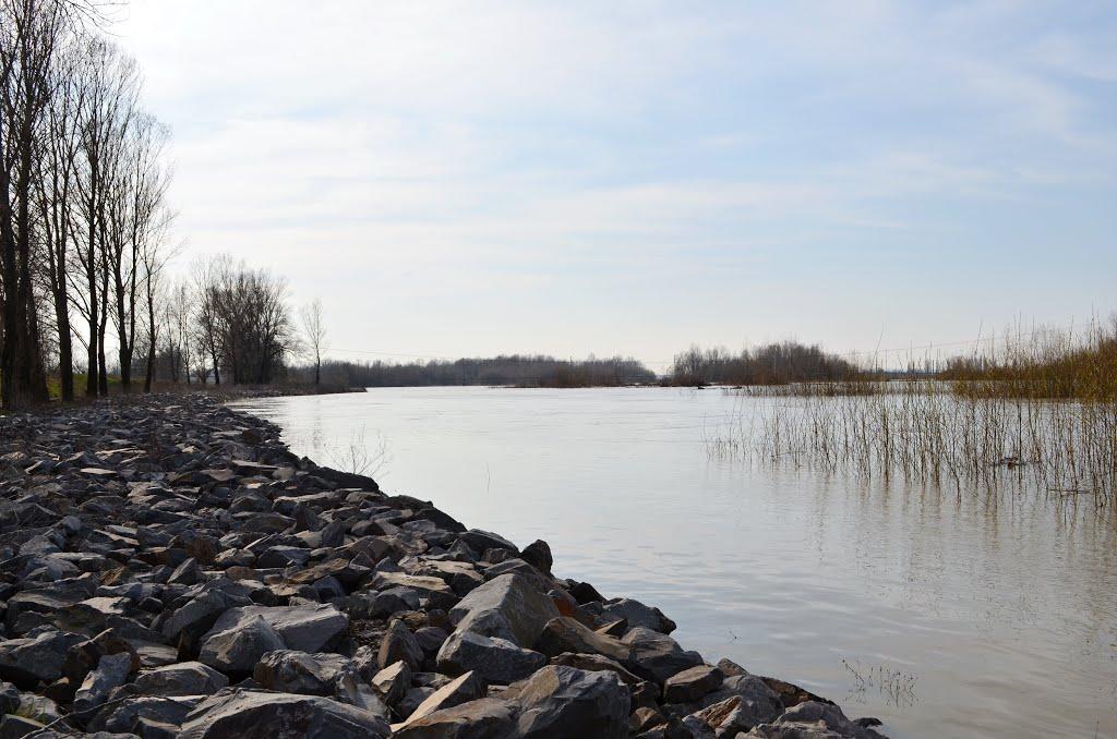 Дротинці з panoramio.com - Дротинці