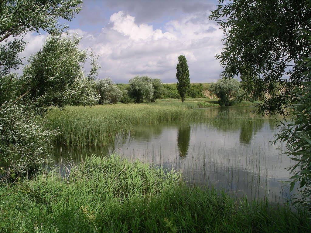 Цвіточне з panoramio.com - Tsvitochne