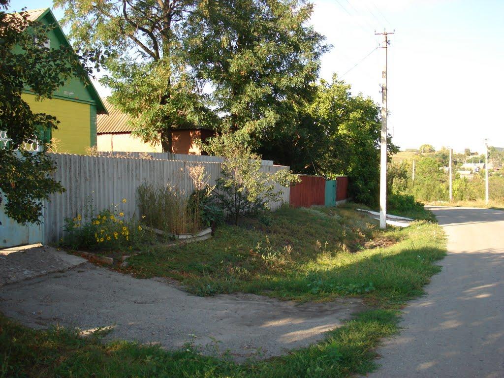 Берека з panoramio.com - Берека