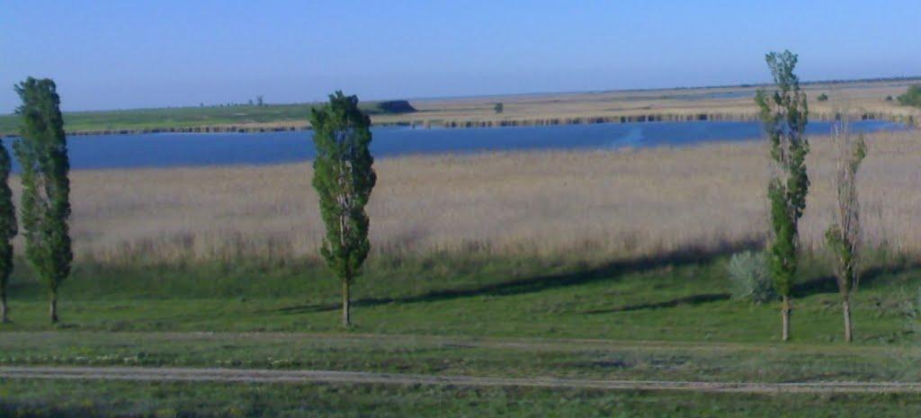 Стара Некрасівка з panoramio.com - Стара Некрасівка