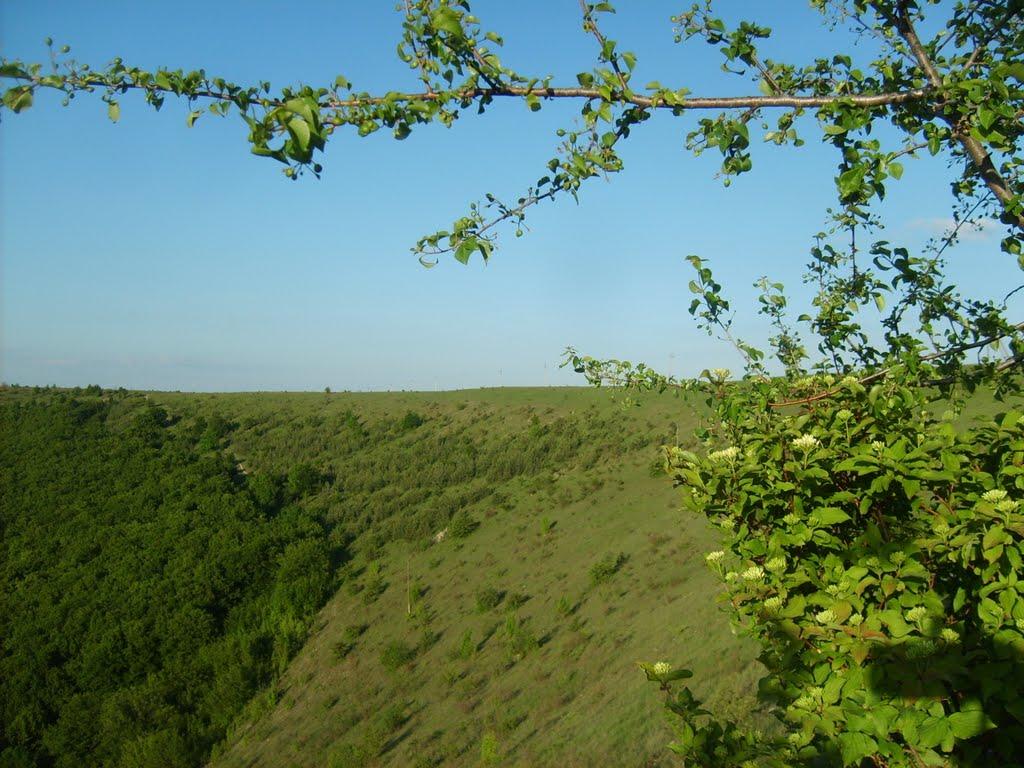 Стіна з panoramio.com - Стіна