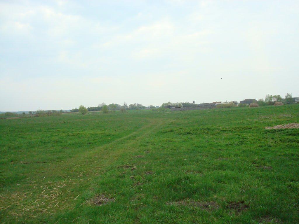 Дроздні з panoramio.com - Дроздни