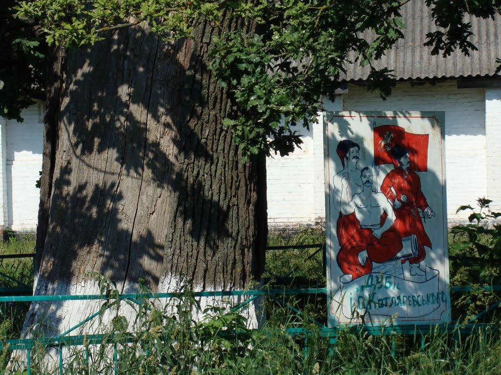 Горошине з panoramio.com - Горошино