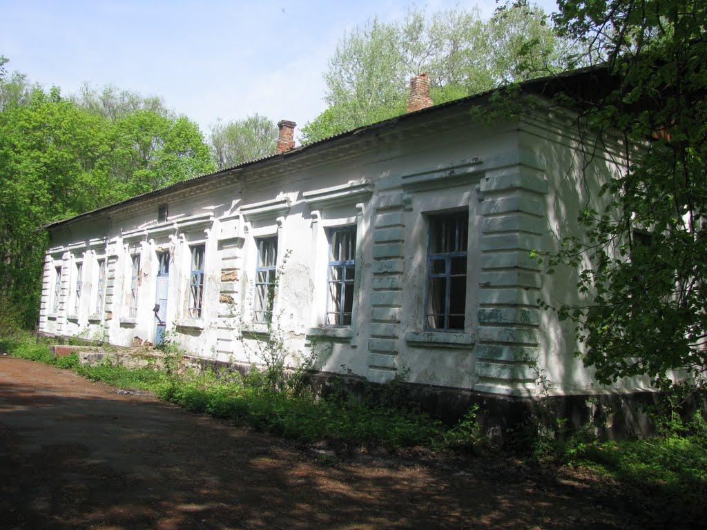 Тиниця з panoramio.com - Тиница