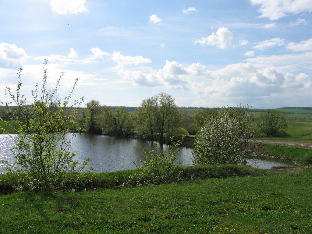 Довгалівка з panoramio.com - Довгалівка