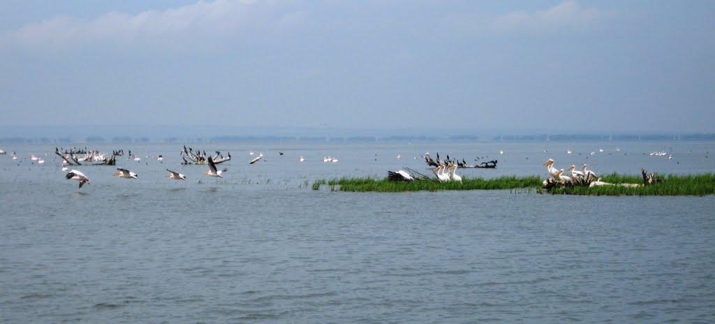 Маяки з panoramio.com - Маяки