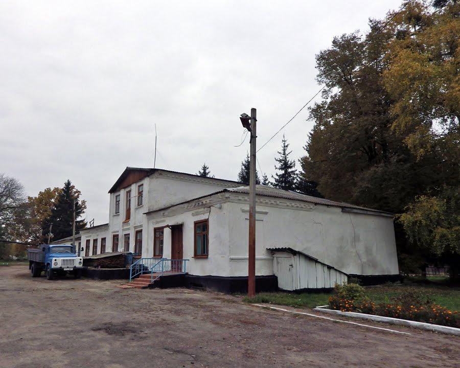 Сінгури з panoramio.com - Сінгури