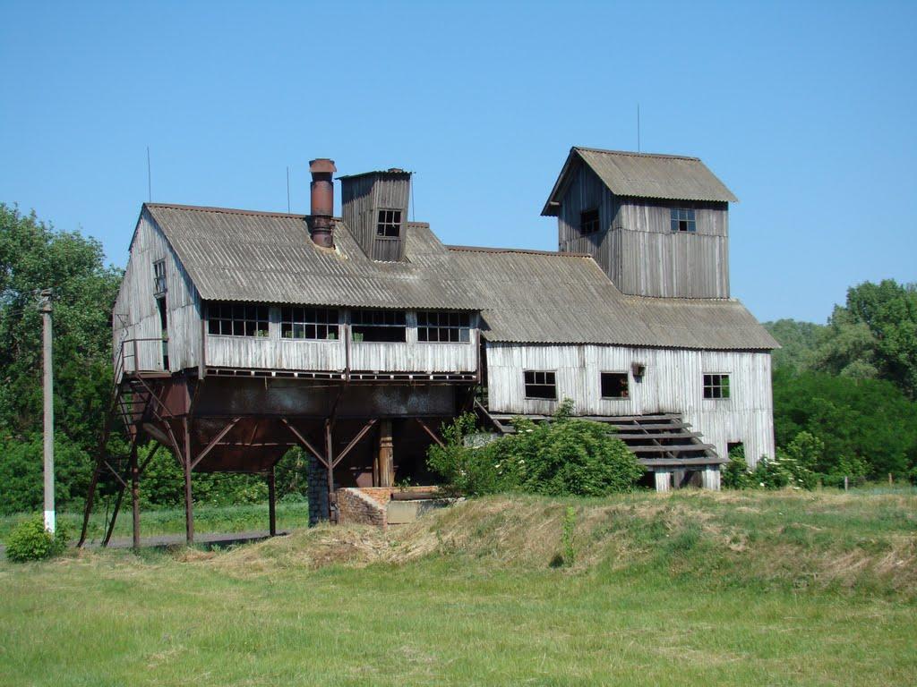 Горошине з panoramio.com - Горошино