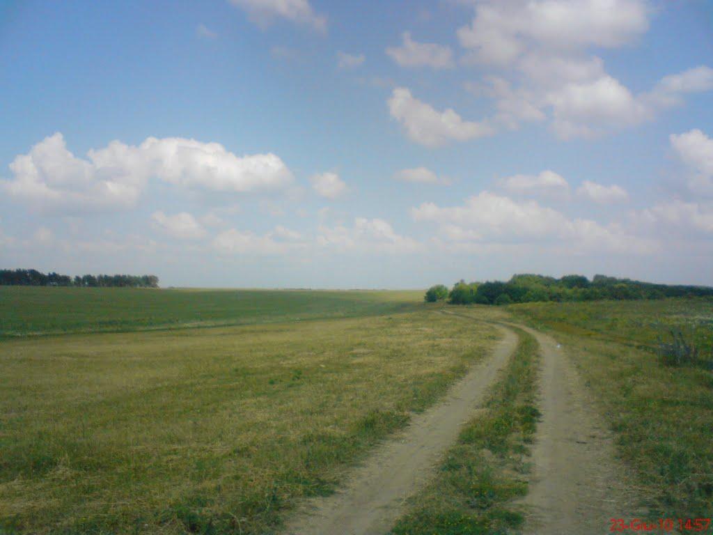 Пушкарівка з panoramio.com - Pushkarivka