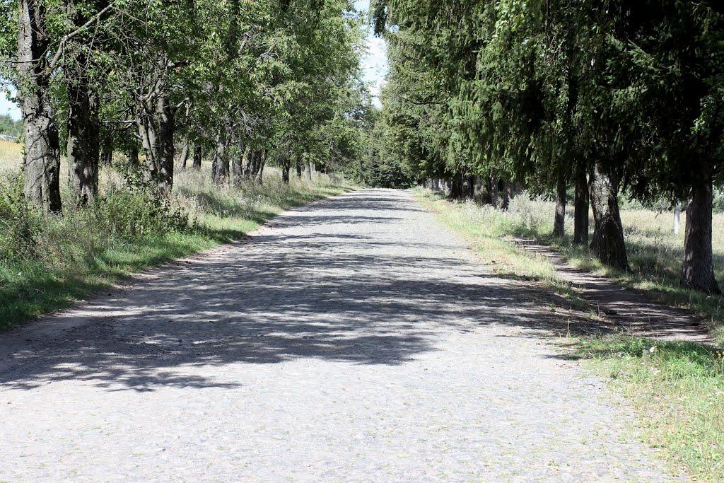 Бахматівці з panoramio.com - Бахматівці