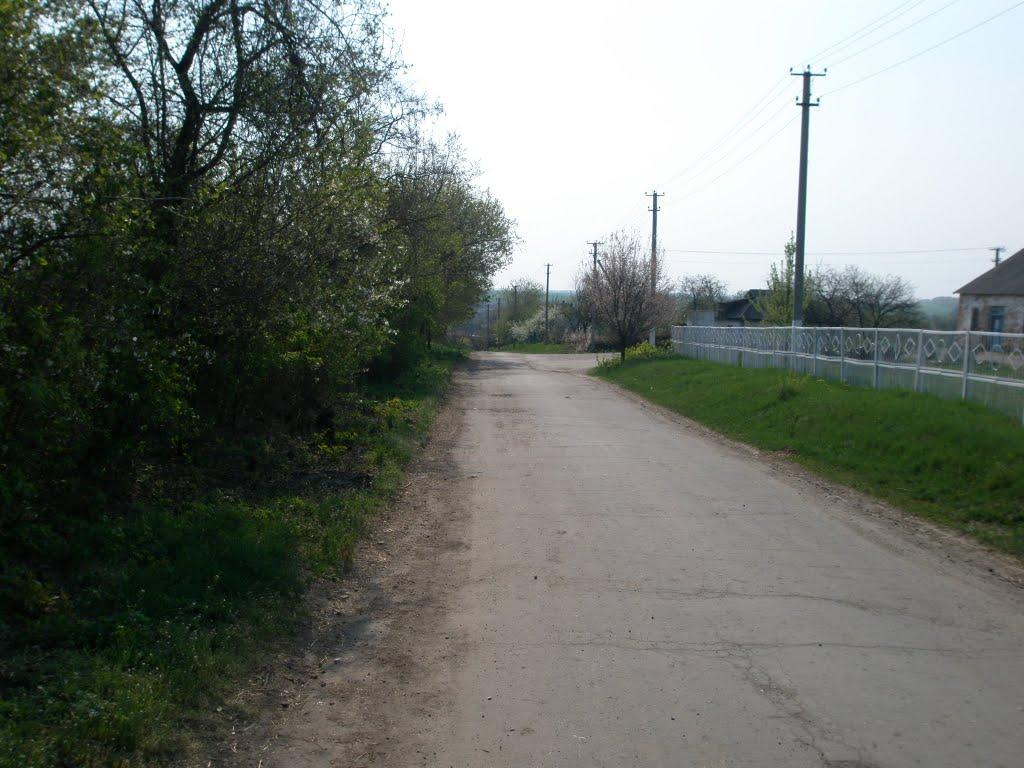 Радивонівка з panoramio.com - Радивонівка