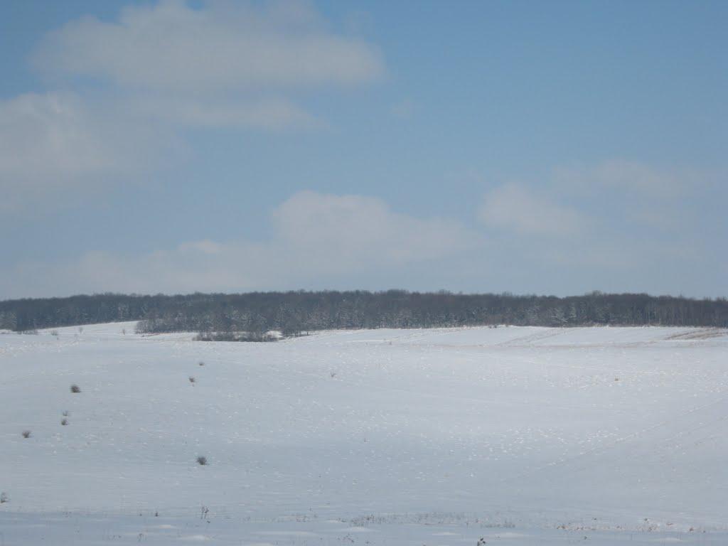 Вигівка з panoramio.com - Вигівка