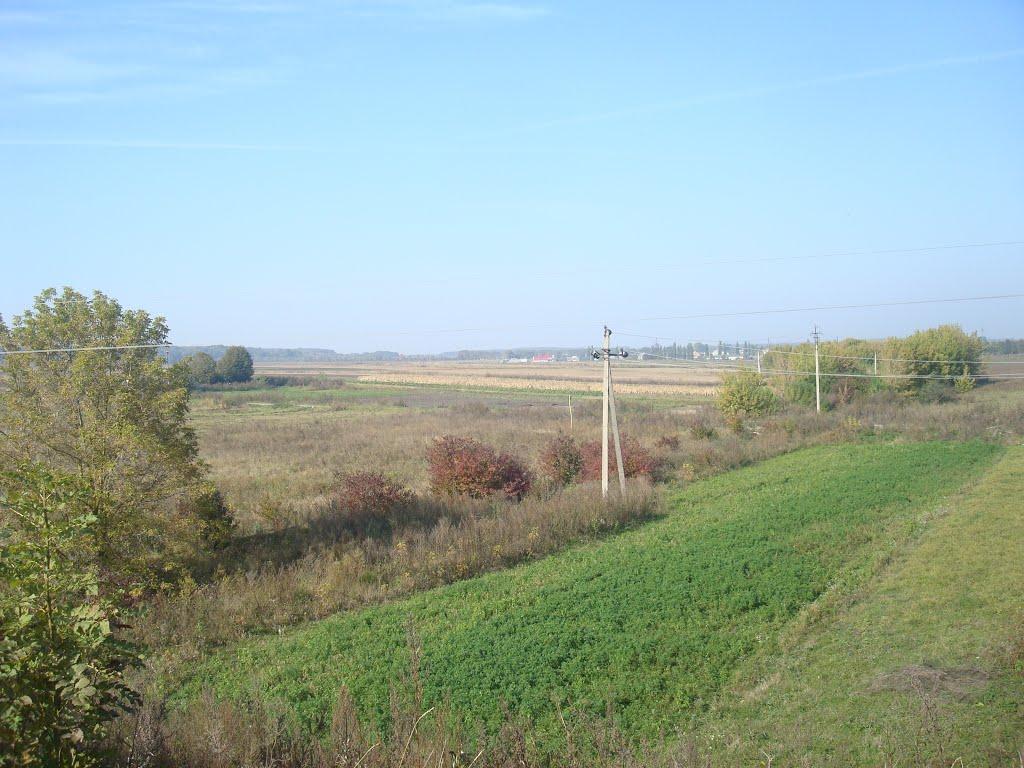 Лісоводи з panoramio.com - Лісоводи