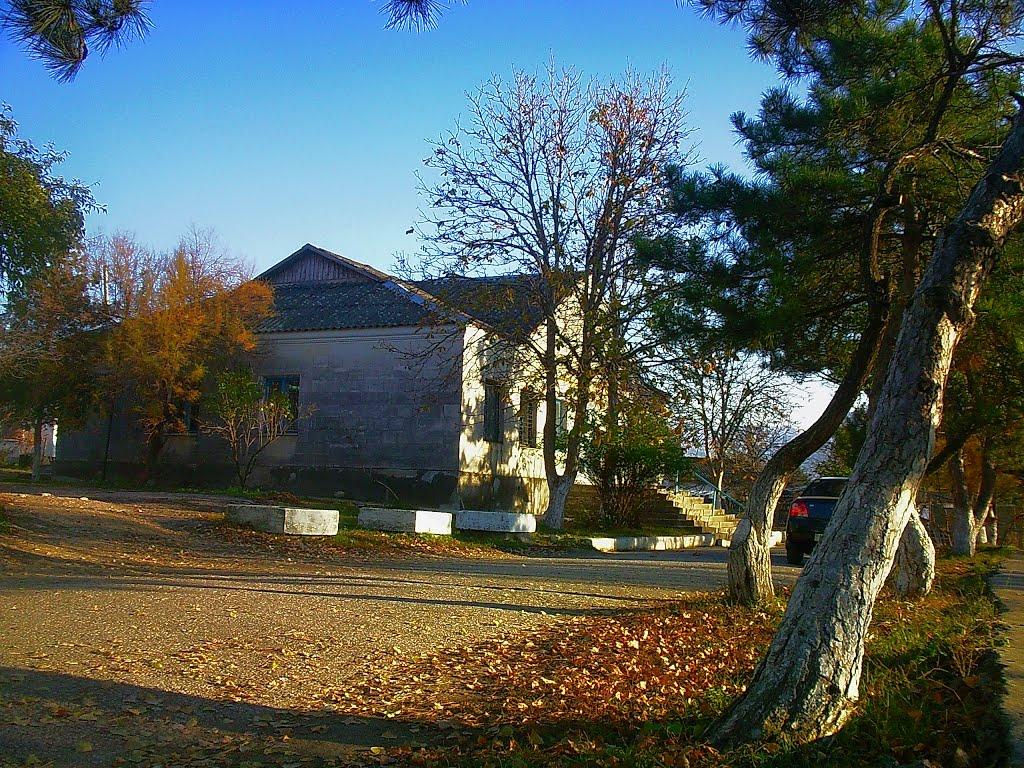 Голубинка з panoramio.com - Голубинка