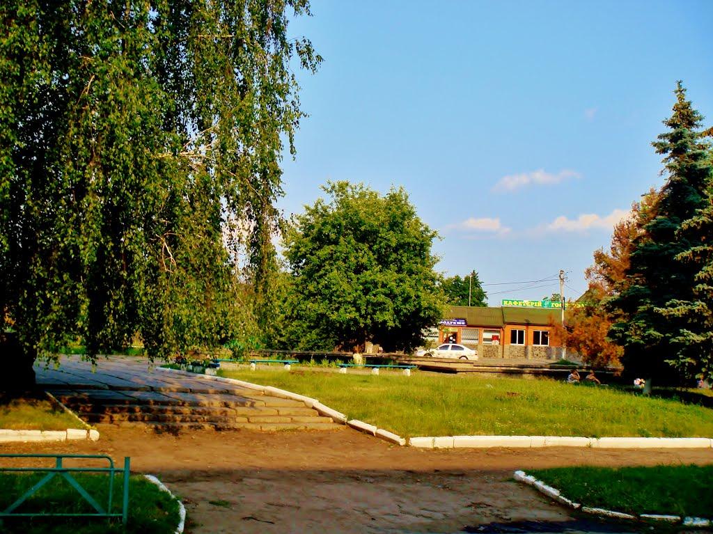 Лисянка з panoramio.com - Лисянка
