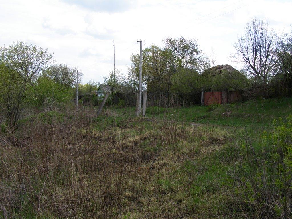 Берека з panoramio.com - Берека