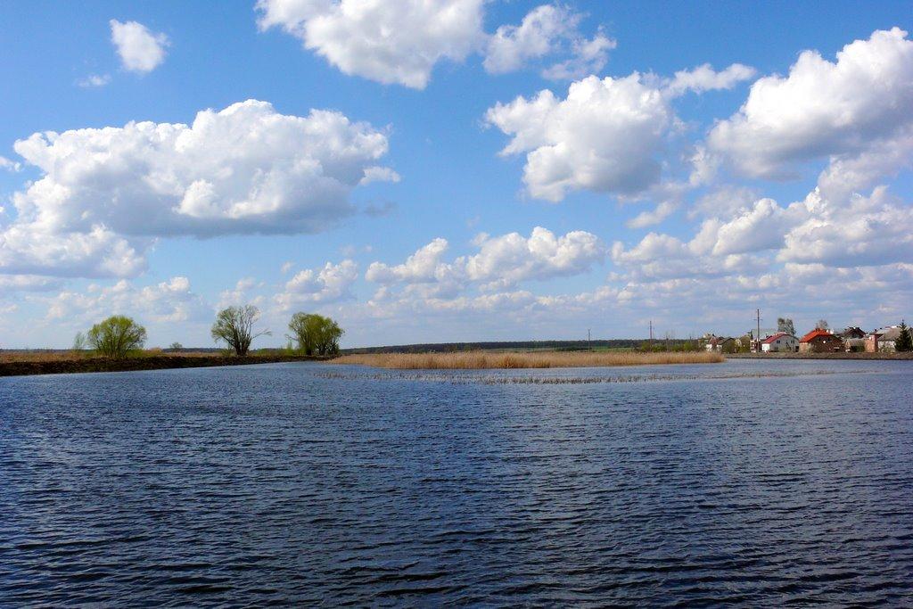 Пустомити з panoramio.com - Pustomyty