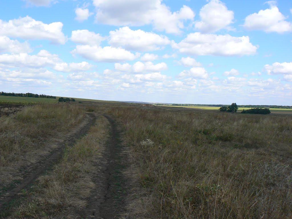 Верхівка з panoramio.com - Верхівка