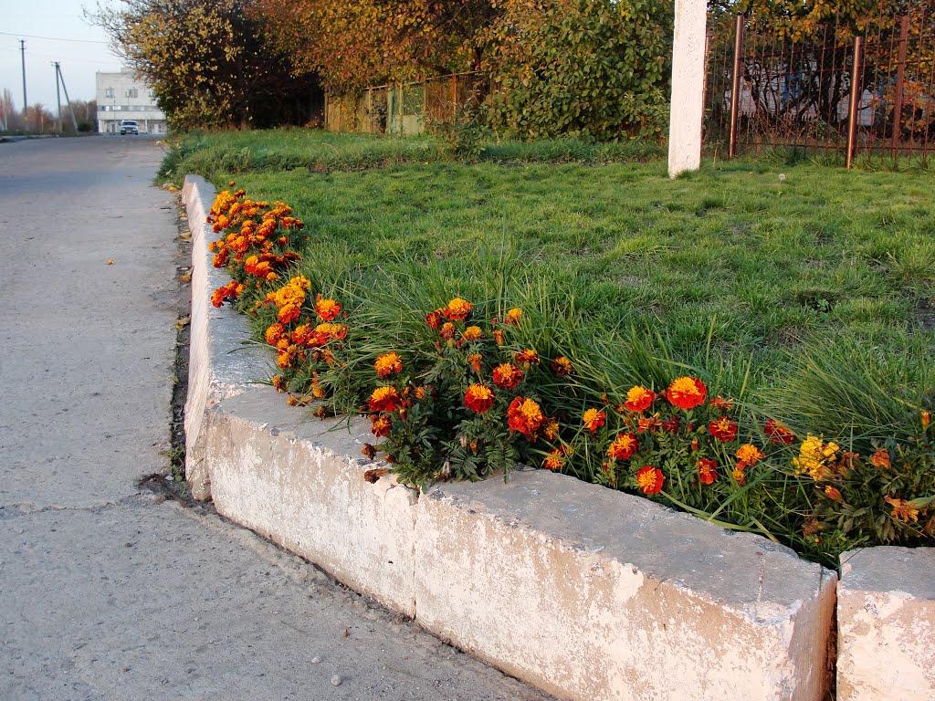 Вільногірськ з panoramio.com - Вольногорск