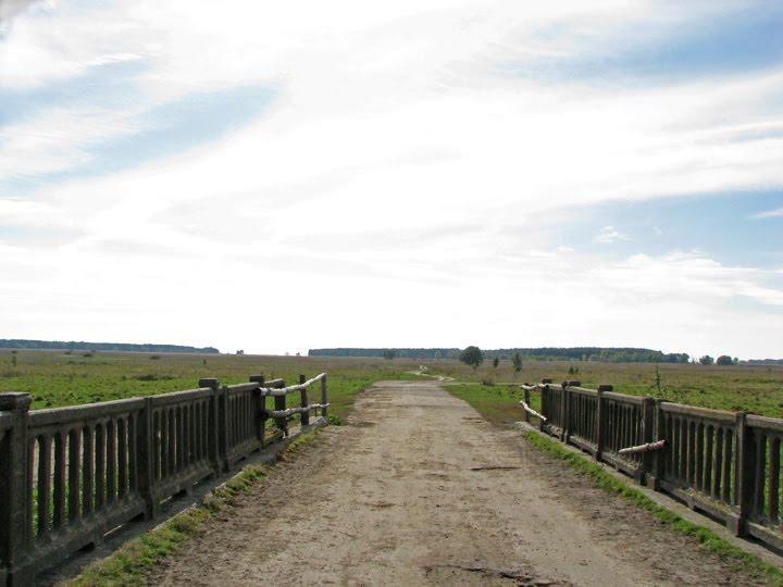 Горошине з panoramio.com - Горошине