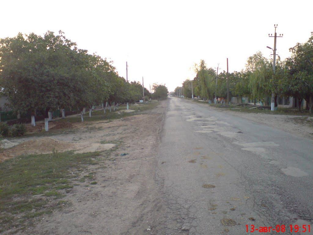 Підгірне з panoramio.com - Підгірне