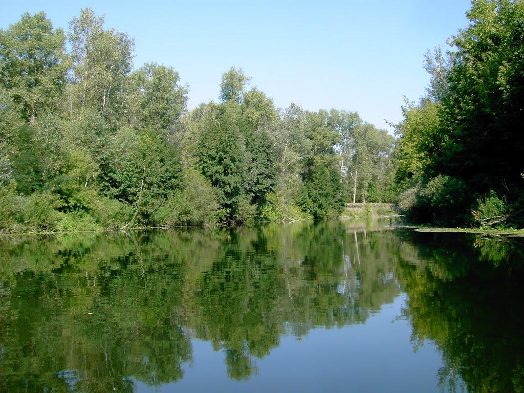 Великі Сорочинці з panoramio.com - Великие Сорочинцы