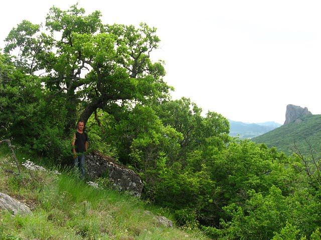 Краснокам'янка з panoramio.com - Краснокаменка