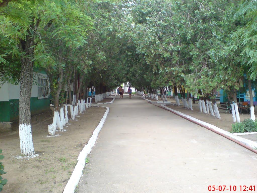 Челядінове з panoramio.com - Chelyadinove
