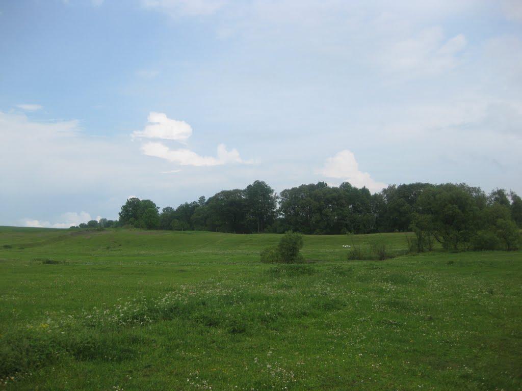 Черепашинці з panoramio.com - Cherepashyntsi
