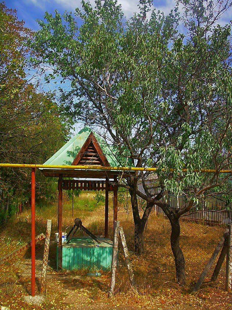 Шевченкове з panoramio.com - Шевченково