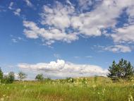 Новосолдатське з panoramio.com